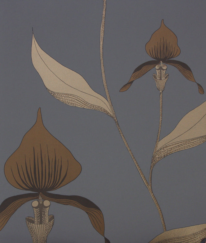 Cole&Son / CONTEMPORARY RESTYLED / Orchid 95/10056