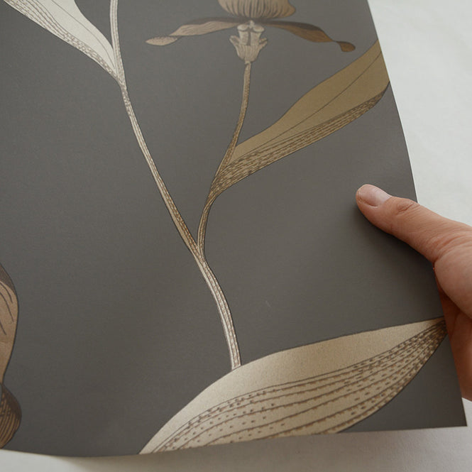 Cole&Son / CONTEMPORARY RESTYLED / Orchid 95/10056
