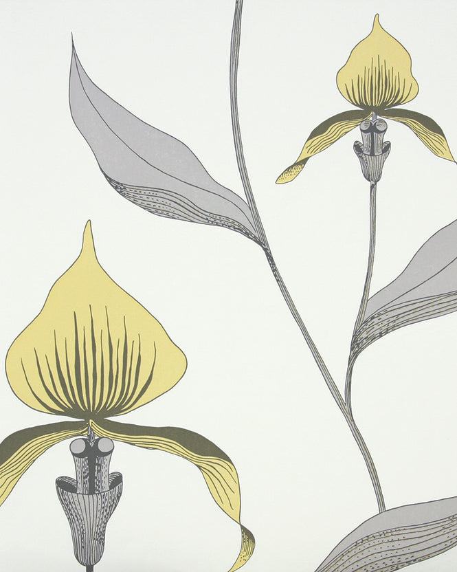 Cole&Son / CONTEMPORARY RESTYLED / Orchid 95/10057