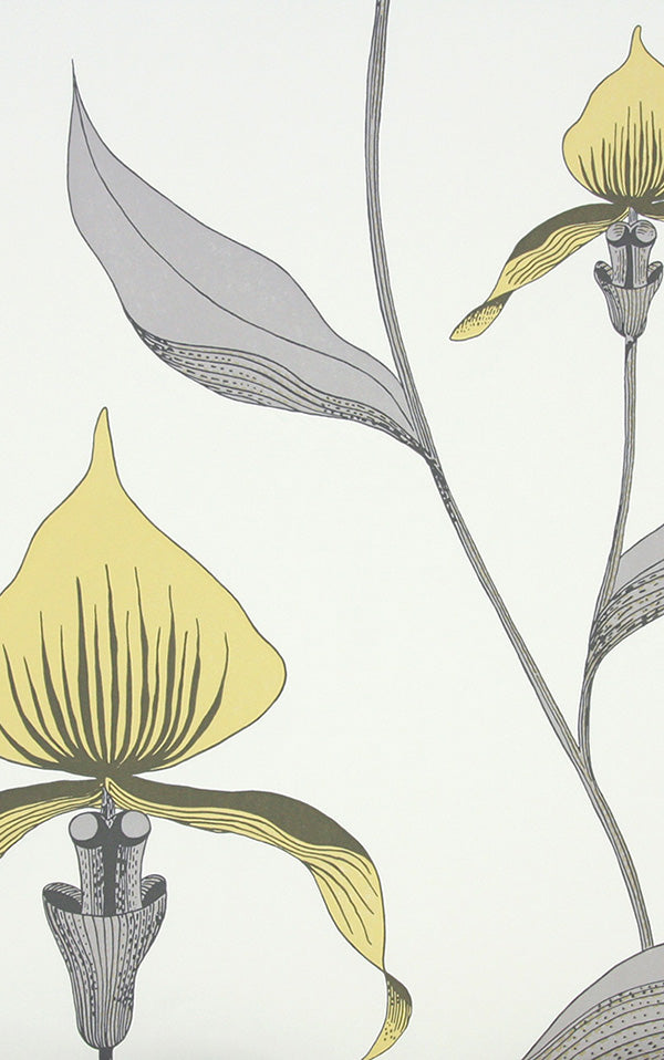 Cole&Son / CONTEMPORARY RESTYLED / Orchid 95/10057