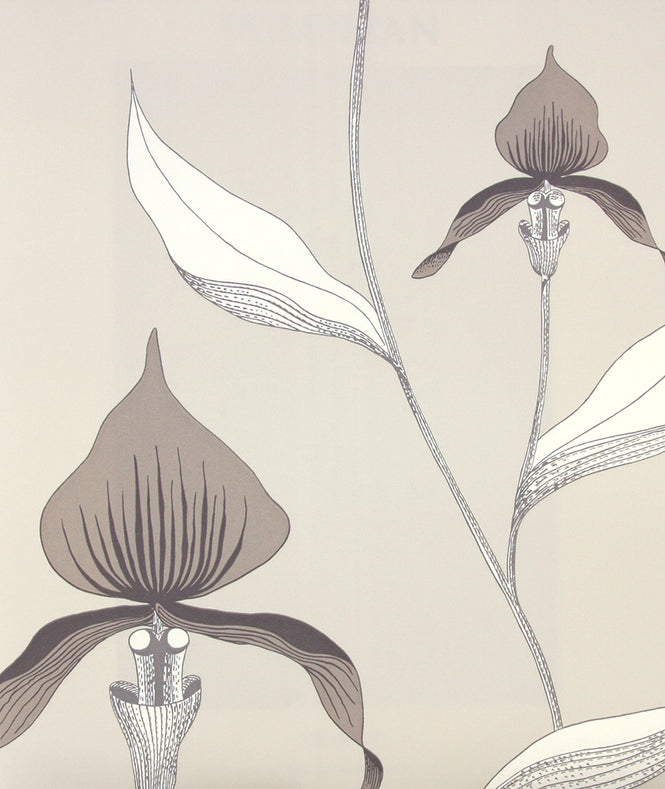 Cole&Son / CONTEMPORARY RESTYLED / Orchid 95/10058
