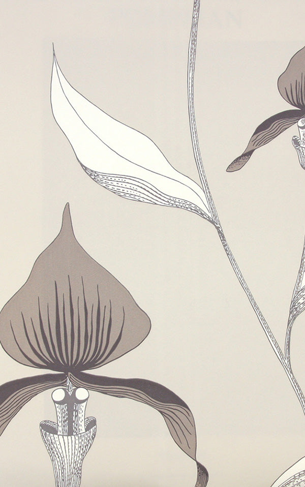 Cole&Son / CONTEMPORARY RESTYLED / Orchid 95/10058