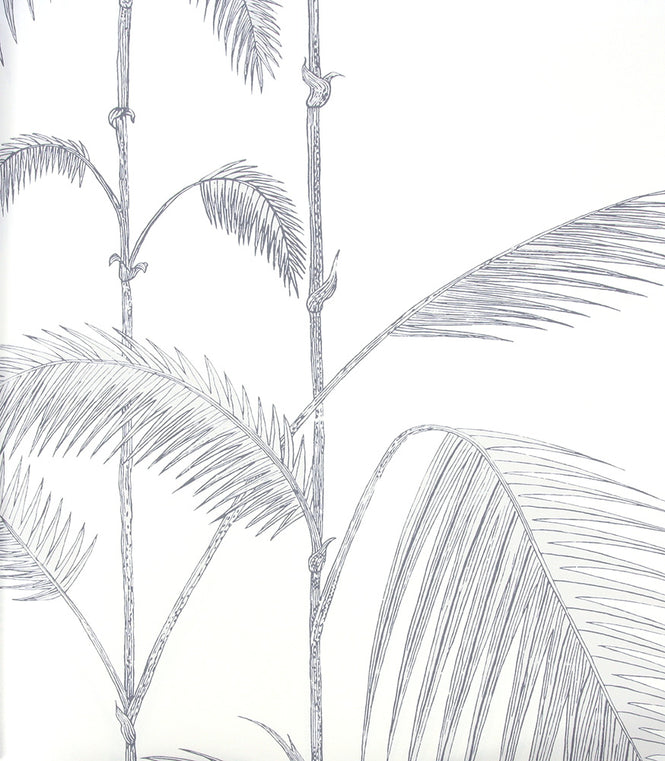 Cole&Son / CONTEMPORARY RESTYLED / Palm 95/1008