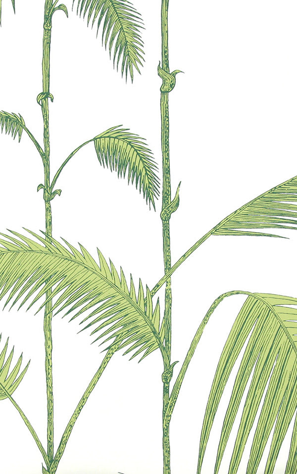 Cole&Son / CONTEMPORARY RESTYLED / Palm Leaves 95/1009