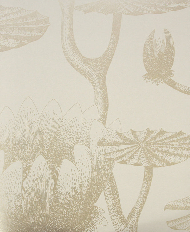 Cole&Son / CONTEMPORARY RESTYLED / Lily 95/4019