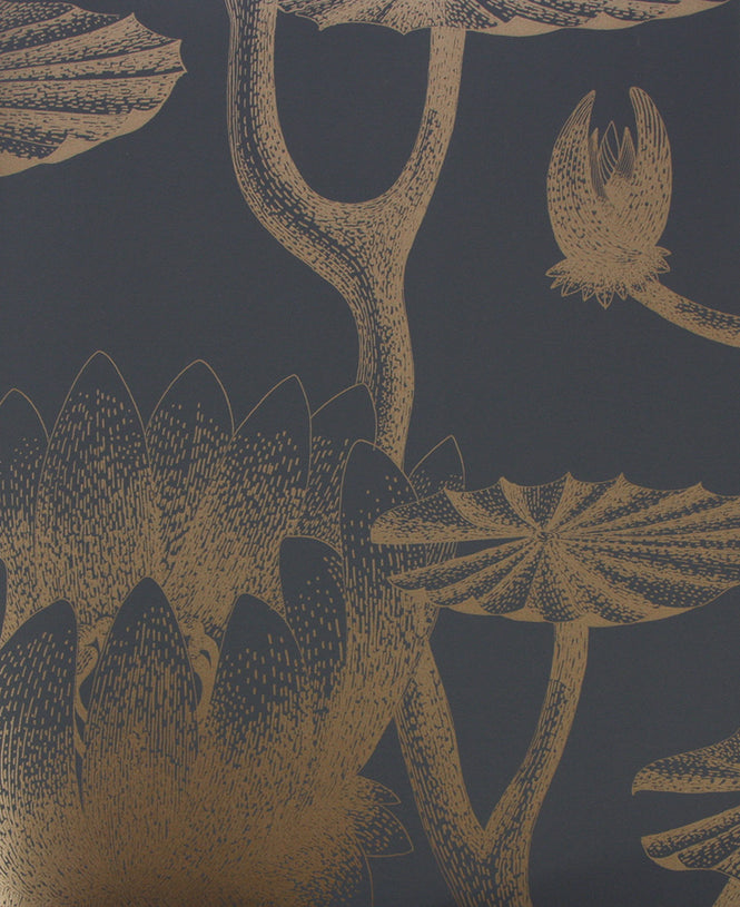 Cole&Son / CONTEMPORARY RESTYLED / Lily 95/4021