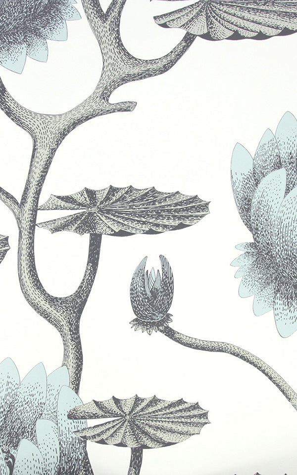 Cole&Son / CONTEMPORARY RESTYLED / Summer Lily Wide width 95/4022