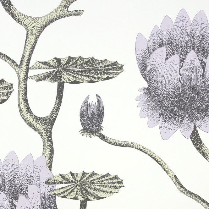 Cole&Son / CONTEMPORARY RESTYLED / Summer Lily Wide width 95/4023