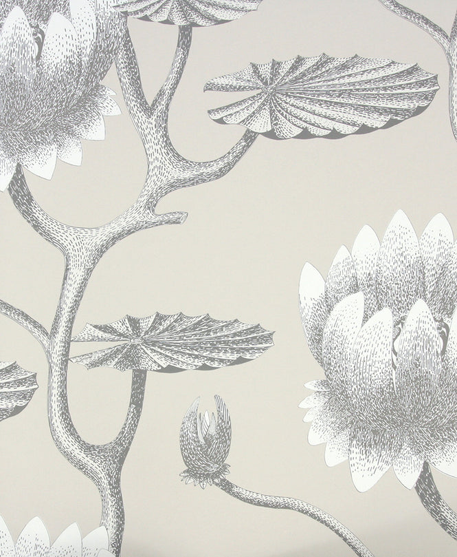 Cole&Son / CONTEMPORARY RESTYLED / Summer Lily Wide width 95/4025