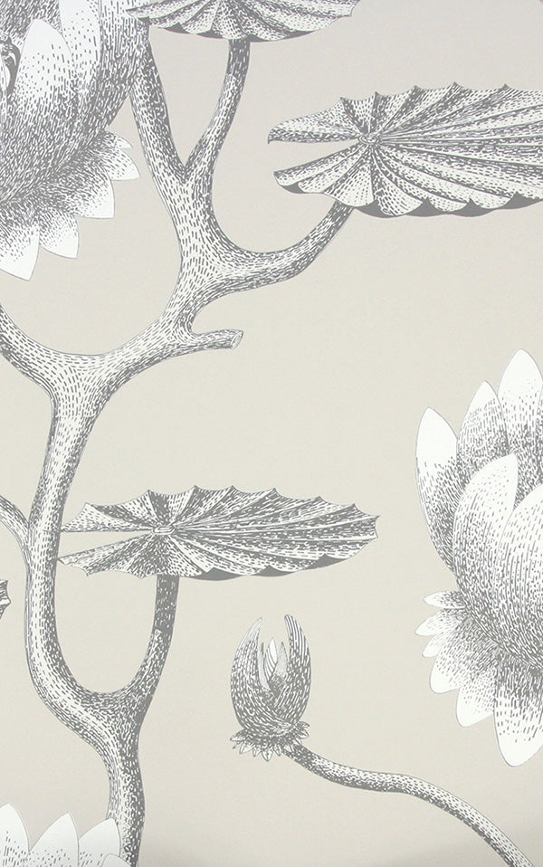 Cole&Son / CONTEMPORARY RESTYLED / Summer Lily Wide width 95/4025