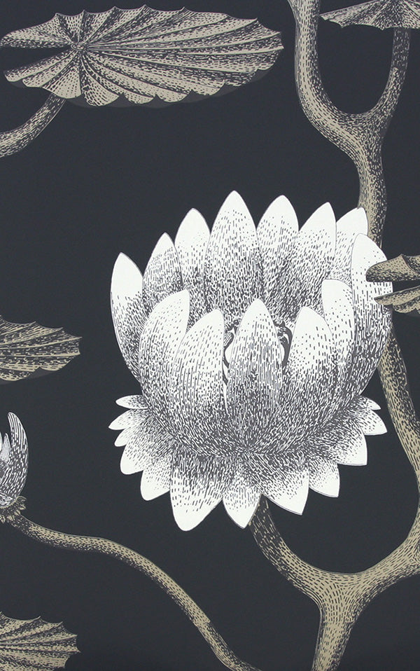 Cole&Son / CONTEMPORARY RESTYLED / Summer Lily Wide width 95/4026
