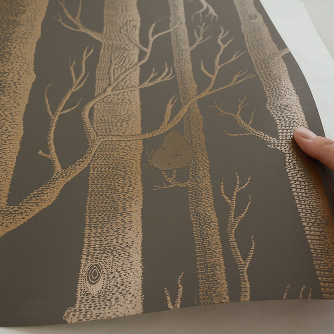 Cole&Son / CONTEMPORARY RESTYLED / Woods&Pears 95/5028