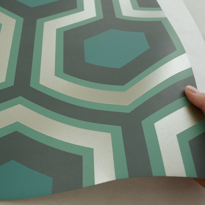 Cole&Son / CONTEMPORARY RESTYLED / Hick's Grand 95/6034