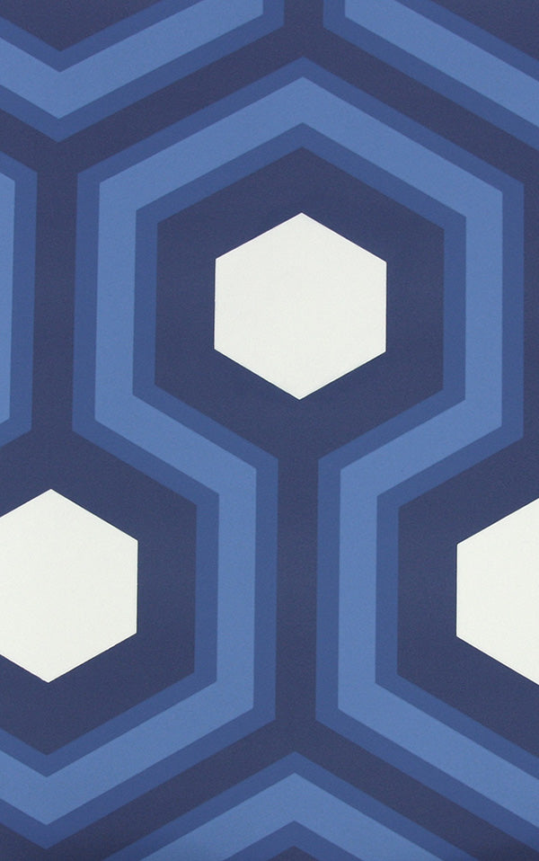 Cole&Son / CONTEMPORARY RESTYLED / Hick's Grand 95/6035