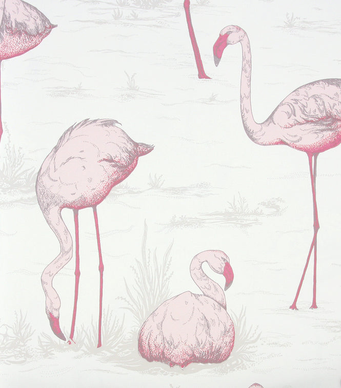 Cole&Son / CONTEMPORARY RESTYLED / Flamingos 95/8045