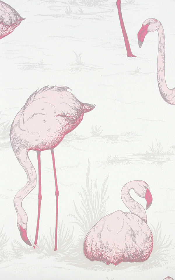 Cole&Son / CONTEMPORARY RESTYLED / Flamingos 95/8045