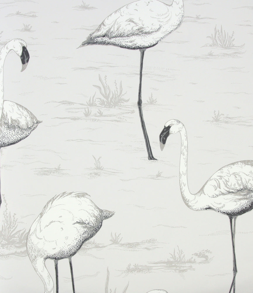 Cole&Son / CONTEMPORARY RESTYLED / Flamingos 95/8046