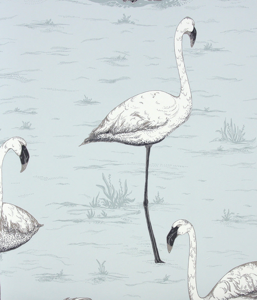 Cole&Son / CONTEMPORARY RESTYLED / Flamingos 95/8047