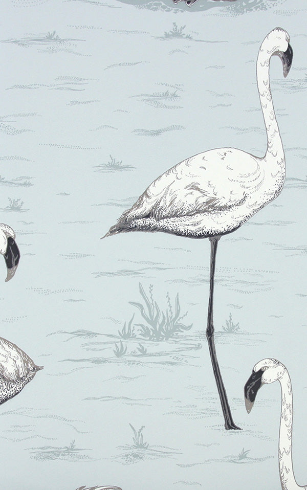 Cole&Son / CONTEMPORARY RESTYLED / Flamingos 95/8047