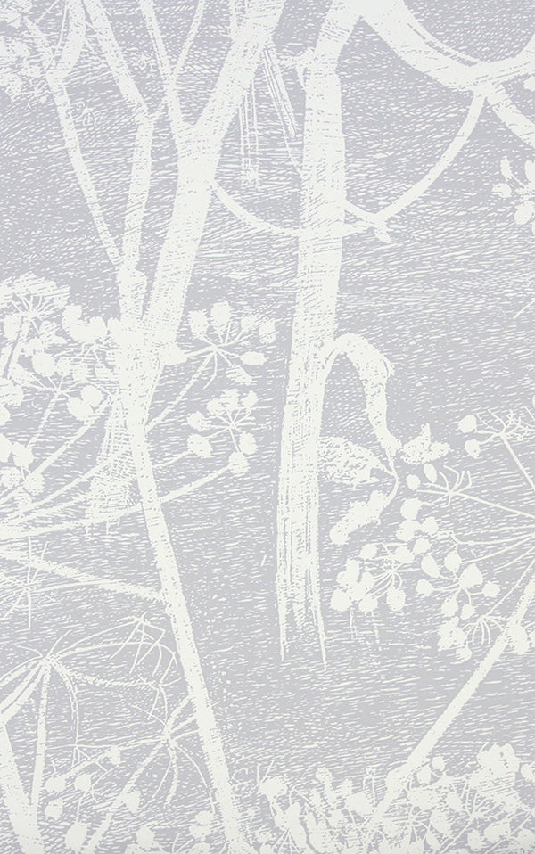 Cole&Son / CONTEMPORARY RESTYLED / Cow Parsley 95/9049