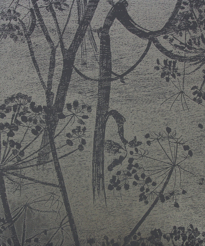 Cole&Son / CONTEMPORARY RESTYLED / Cow Parsley 95/9050