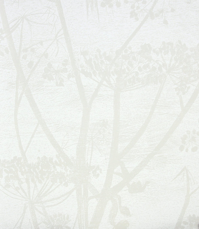 Cole&Son / CONTEMPORARY RESTYLED / Cow Parsley 95/9052