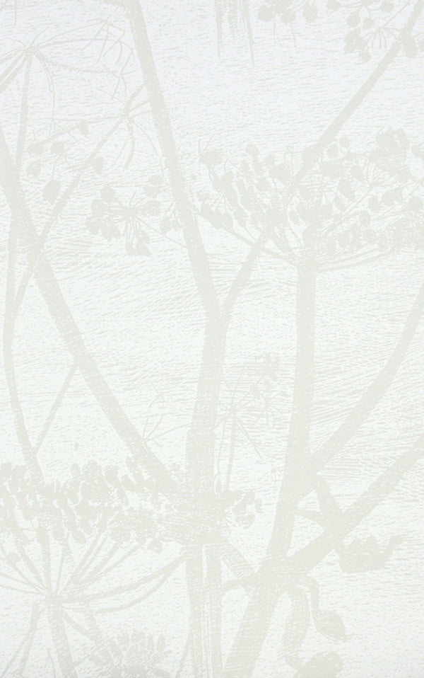 Cole&Son / CONTEMPORARY RESTYLED / Cow Parsley 95/9052