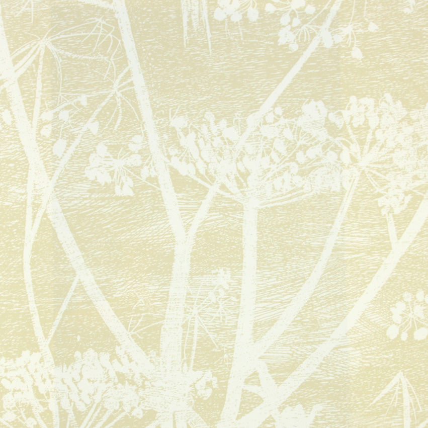 Cole&Son / CONTEMPORARY RESTYLED / Cow Parsley 95/9053