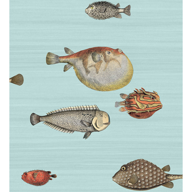 Cole&son / FORNASETTI SENZA TEMPO / ACQUARIO 97/10030