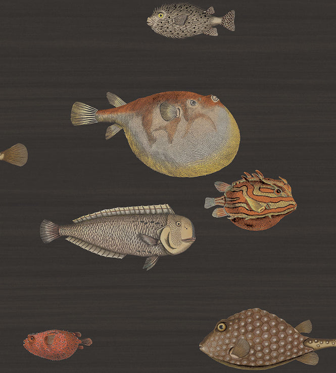 Cole&son / FORNASETTI SENZA TEMPO / ACQUARIO 97/10048