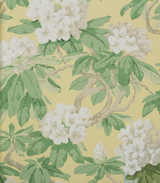 Cole&Son / FOLIE / Bourlie 99/4021