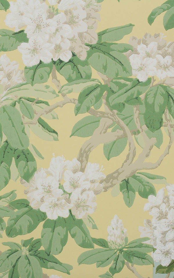 Cole&Son / FOLIE / Bourlie 99/4021