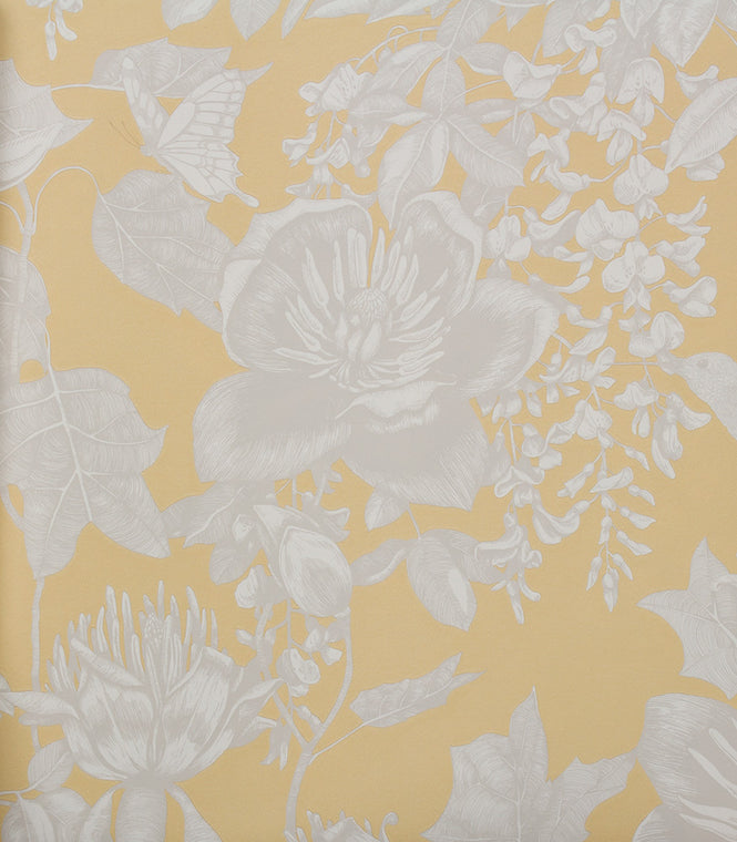 Cole&Son / FOLIE / Tivoli 99/7029