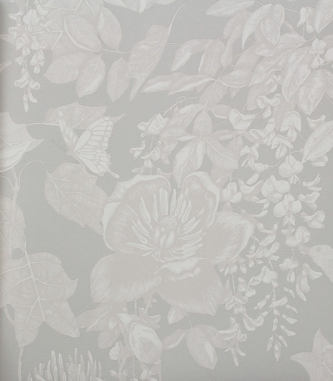 Cole&Son / FOLIE / Tivoli 99/7030