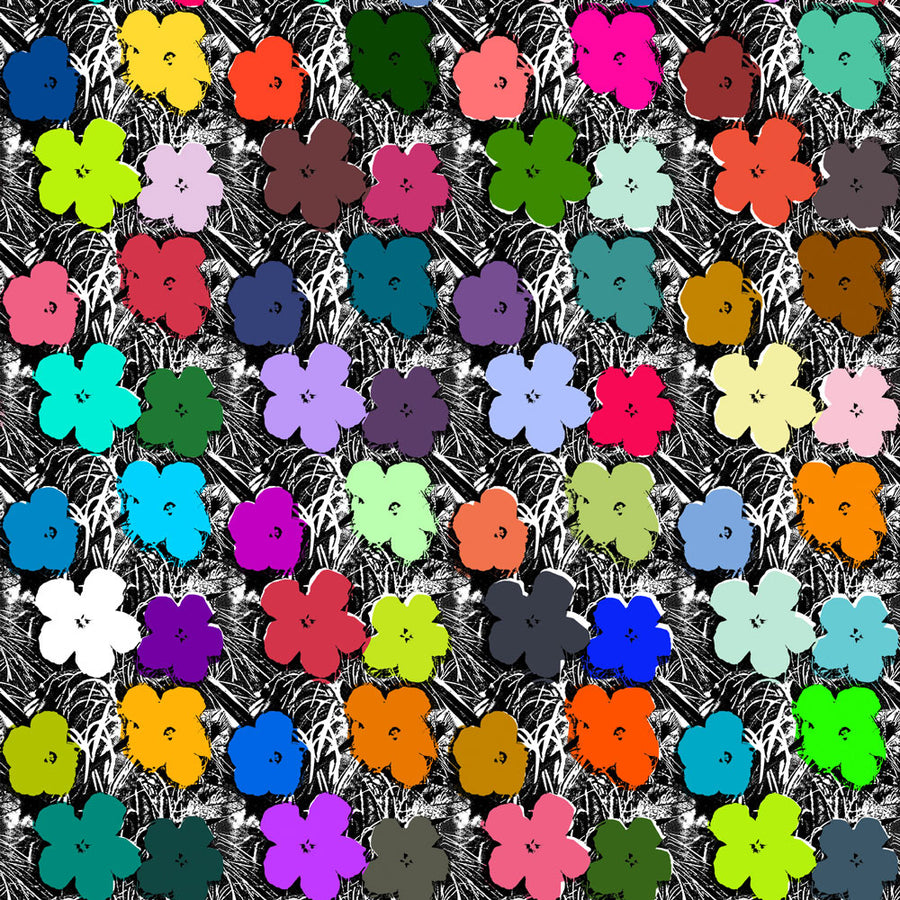 Andy Warhol / Small Flowers / Full Spectrum