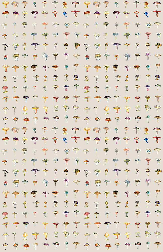 17 Patterns / Forager II - Stone M A03-FG-M06W