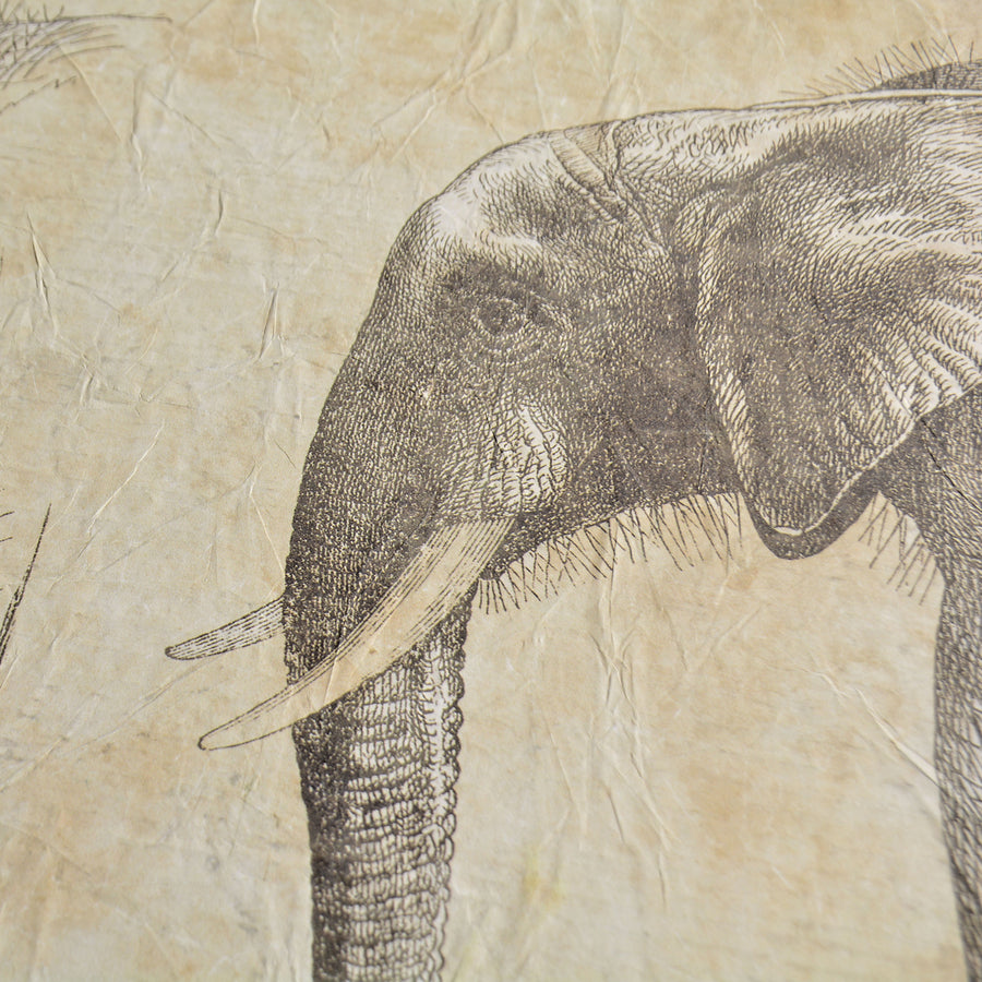 【WALL ART】 ALFONZ / 2/8 SAVANE ALF00566DC (Elephant)