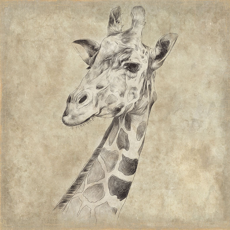 【WALL ART】 ALFONZ / 6/8 SAVANE ALF00566DC (Giraffe)