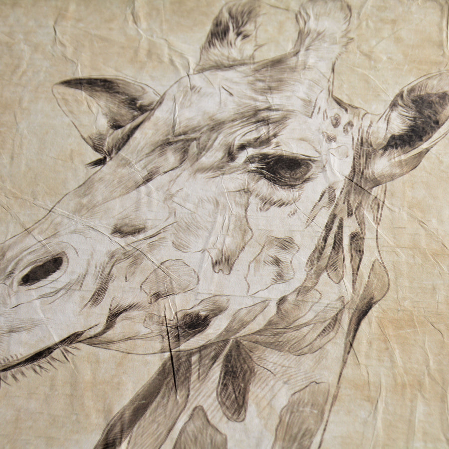 【WALL ART】 ALFONZ / 6/8 SAVANE ALF00566DC (Giraffe)