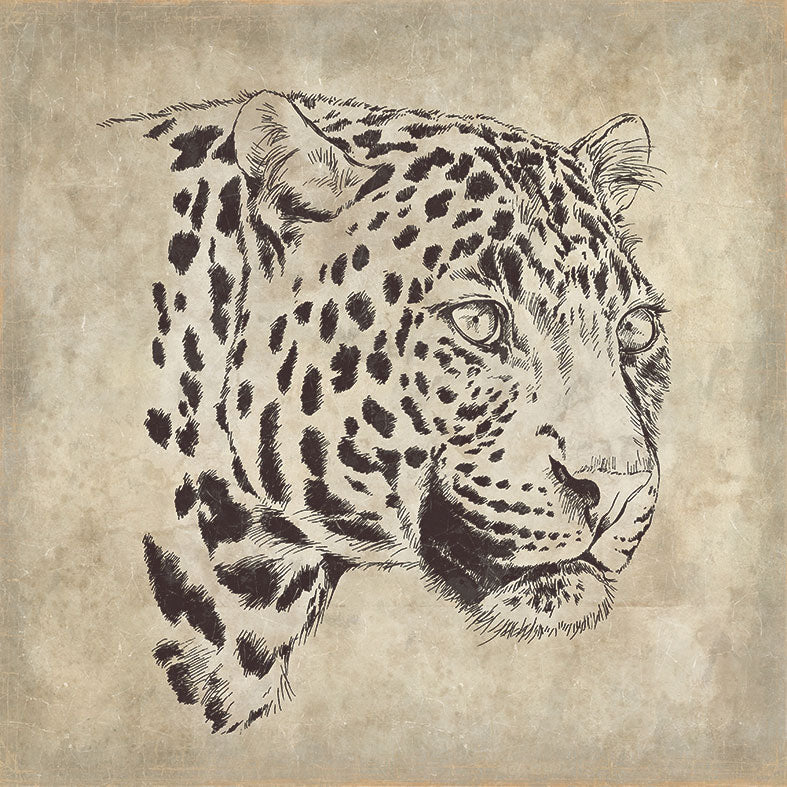 【WALL ART】 ALFONZ / 7/8 SAVANE ALF00566DC (Leopard)