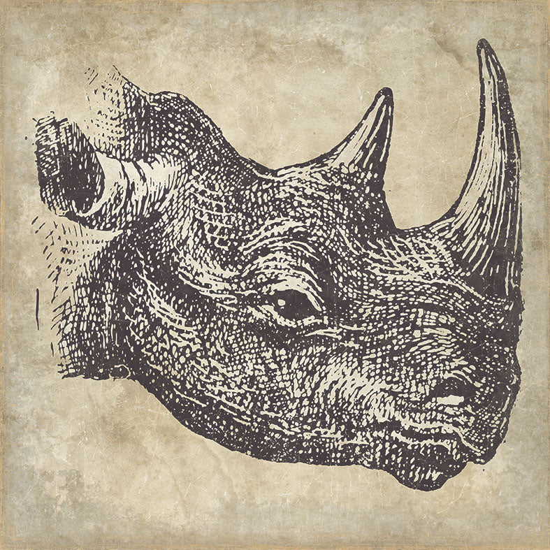 【WALL ART】 ALFONZ / 3/8 SAVANE ALF00566DC (Rhinoceros)
