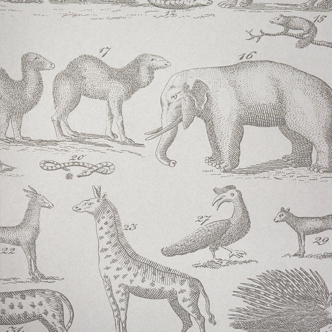 Andrew Martin / Museum / Ark Cloud