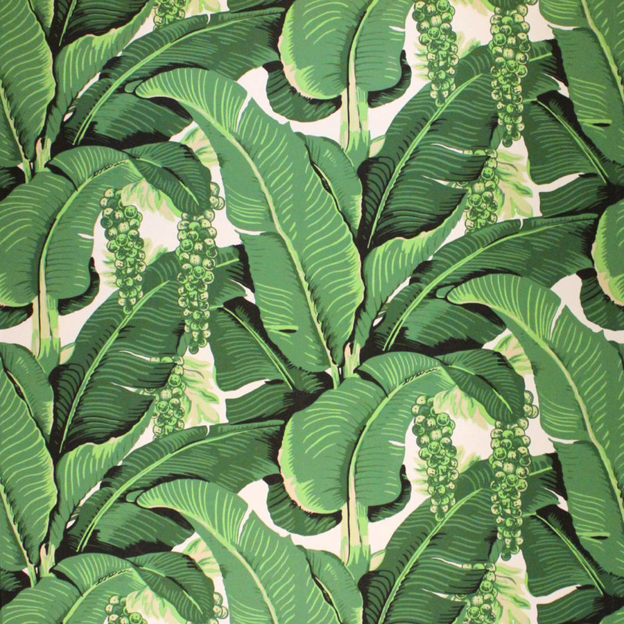Beverly Hills Wallpaper / Brilliant Banana Leaves & Grapes / MIS-19825