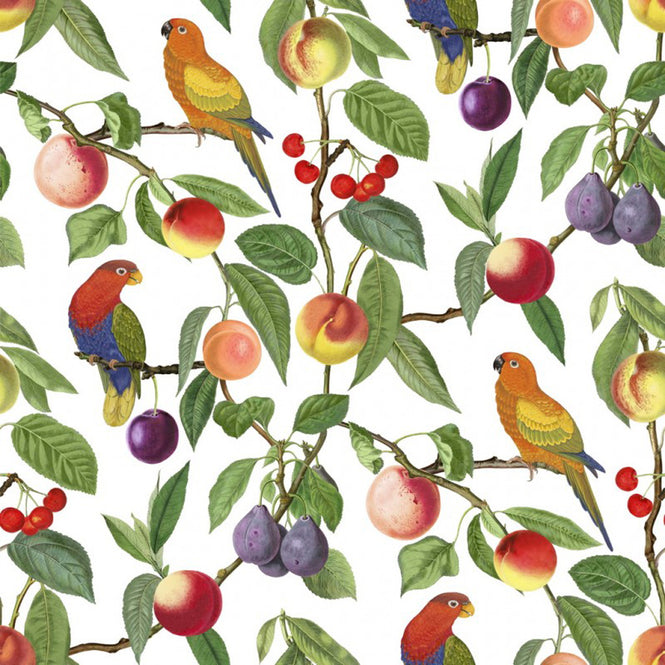 Vilber / BIRDS / MACAO 3143 W-01