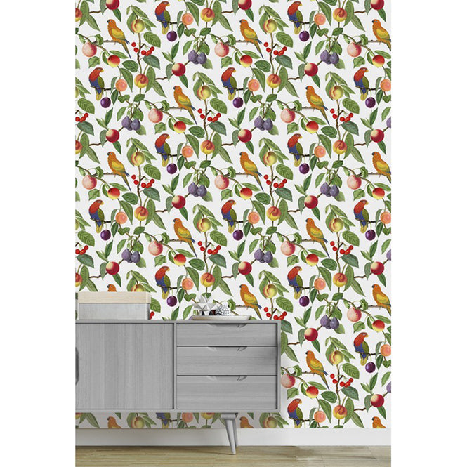 Vilber / BIRDS / MACAO 3143 W-01