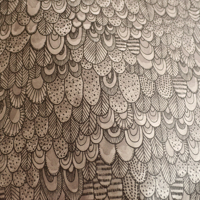 Abigail Edwards / Bird Shadow