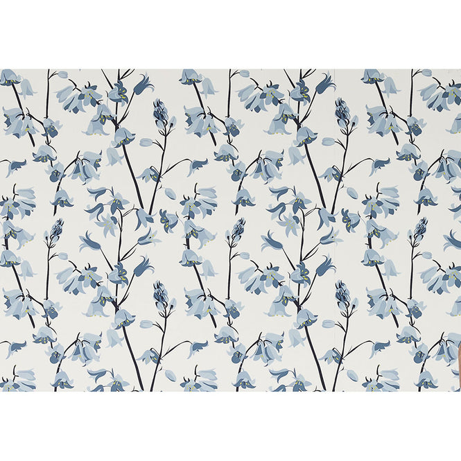 Lorna Syson / Bluebell