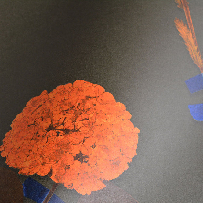 Studio DeSimoneWayland / VOLUME1 / BOTANICALS GRAPHITE VO1-BO-GR【MATTE COATED】【4ロールセット】