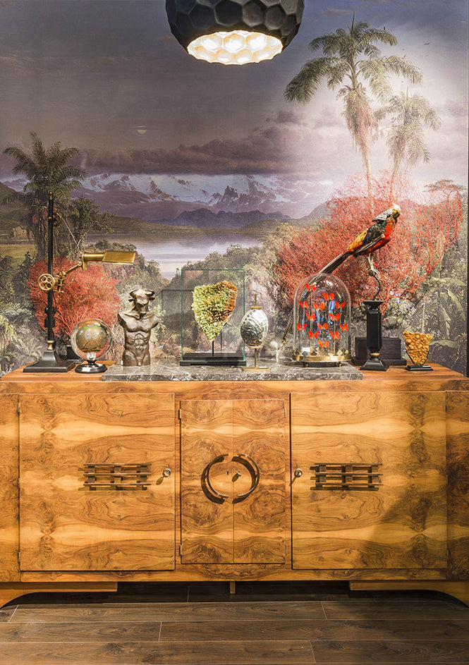 neoDKO / OBJET DE CURIOSITE オブジェデキュリオシティ Lile Mysterieuse bri100