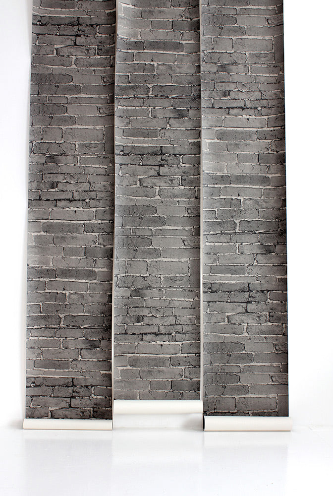 Deborah Bowness / The Standard Collection / Brick Wall